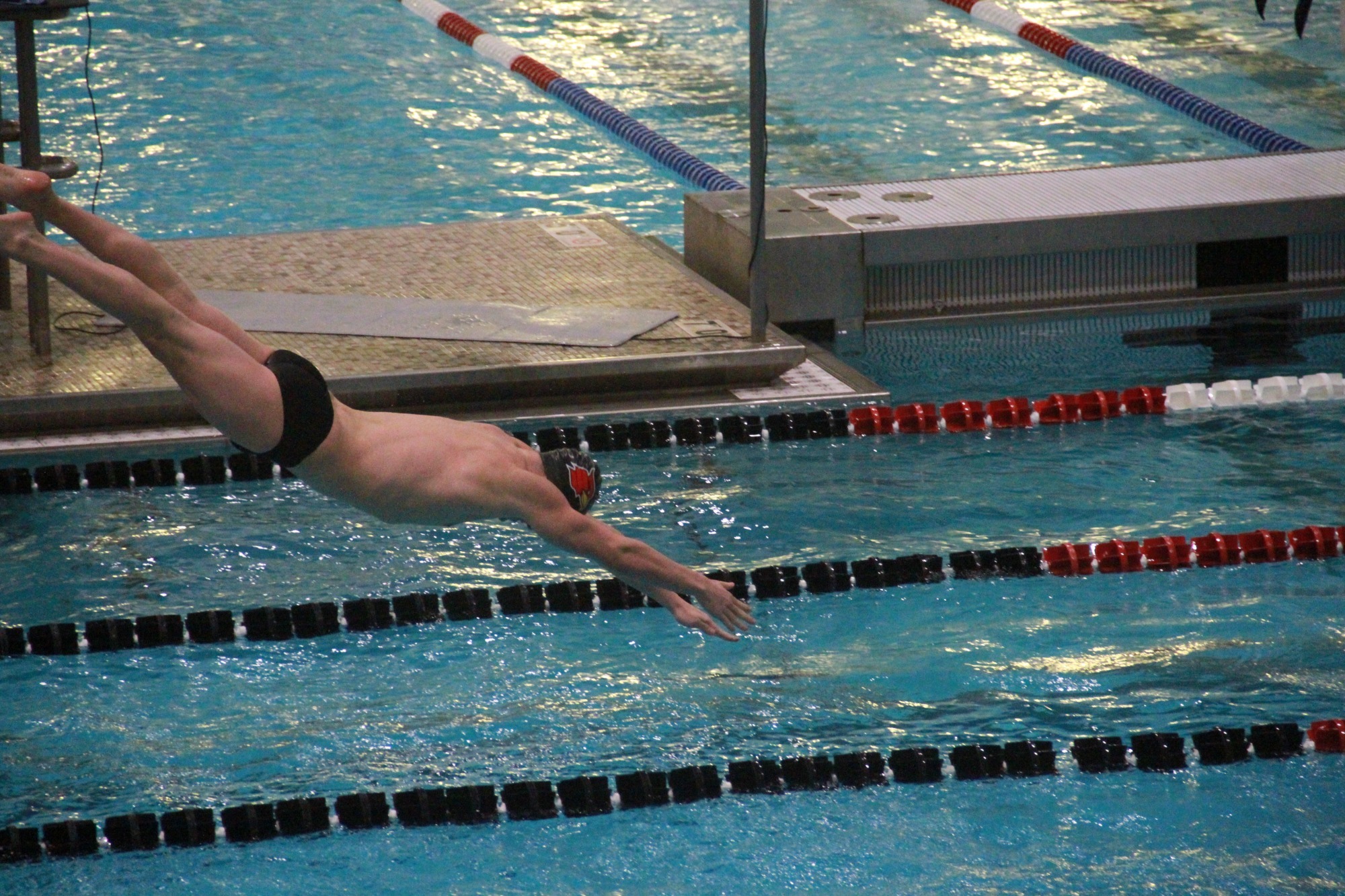Mens swim