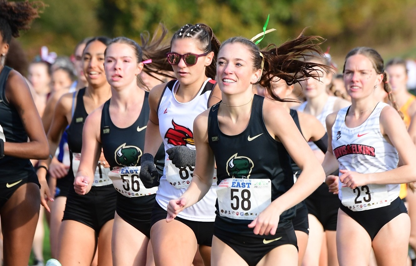 Banks Run