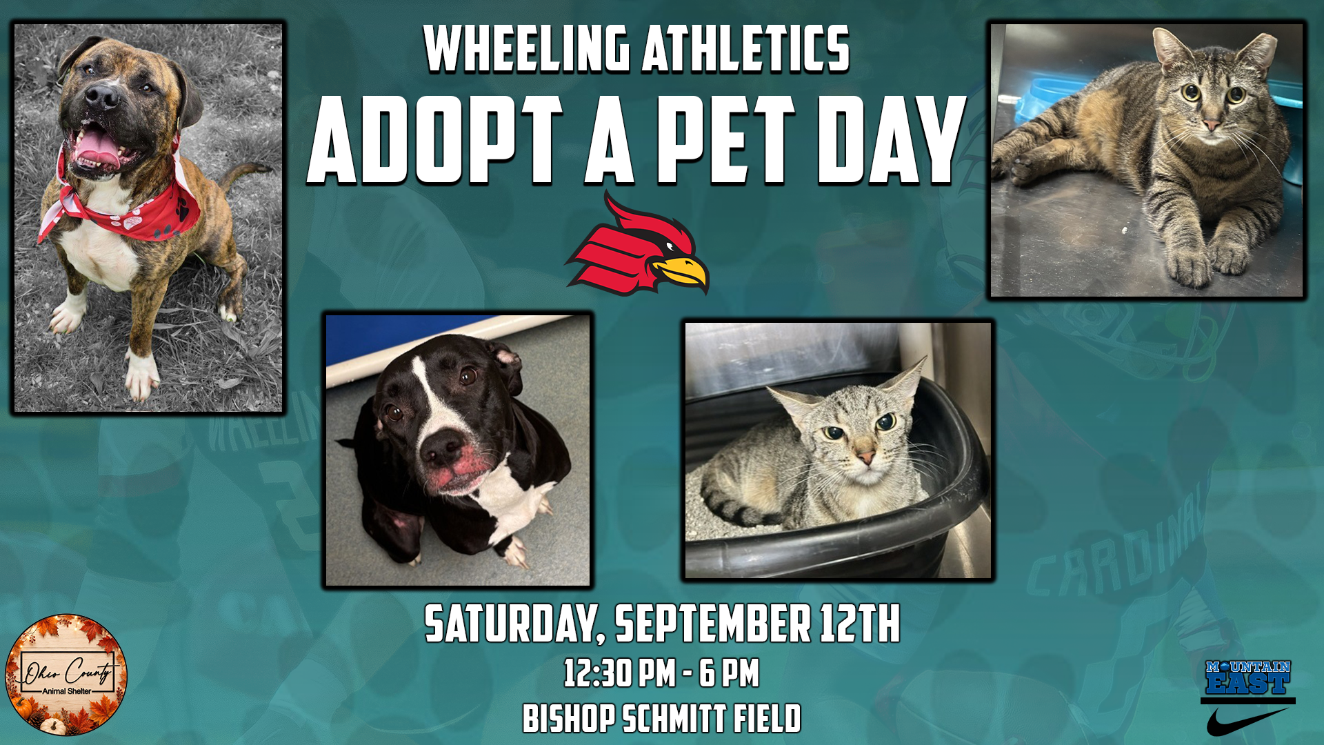 Adopt a Pet Day