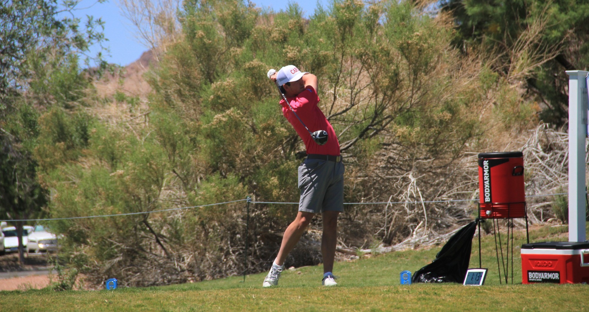 Ekens-Fosback Swing