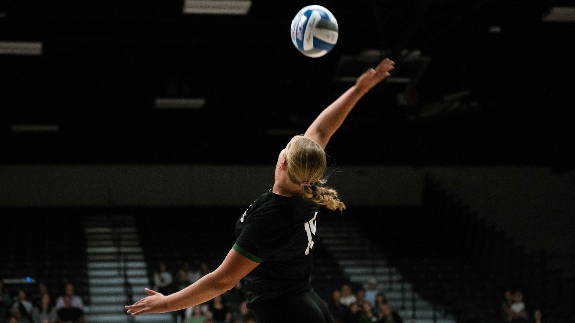 Freshman Ireland Zyzo