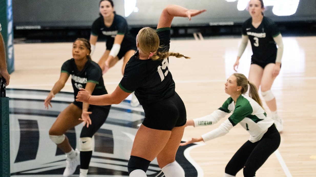 Freshman Ireland Zyzo