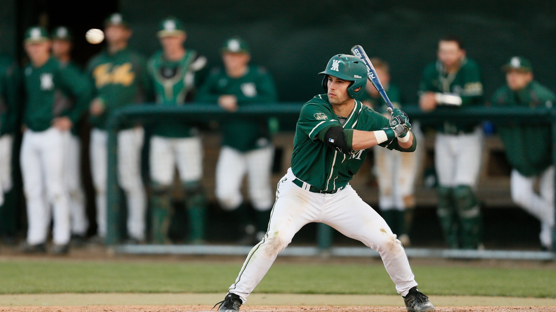 Ryder Miconi 2017 Baseball William & Mary Athletics