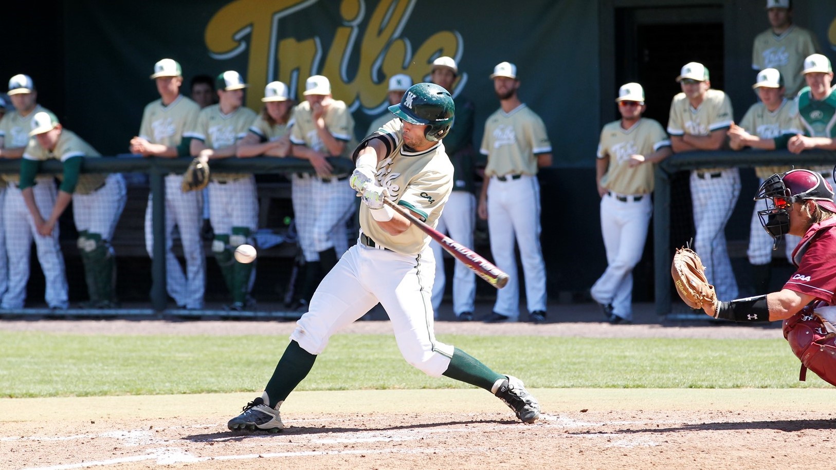 Ryder Miconi 2017 Baseball William & Mary Athletics