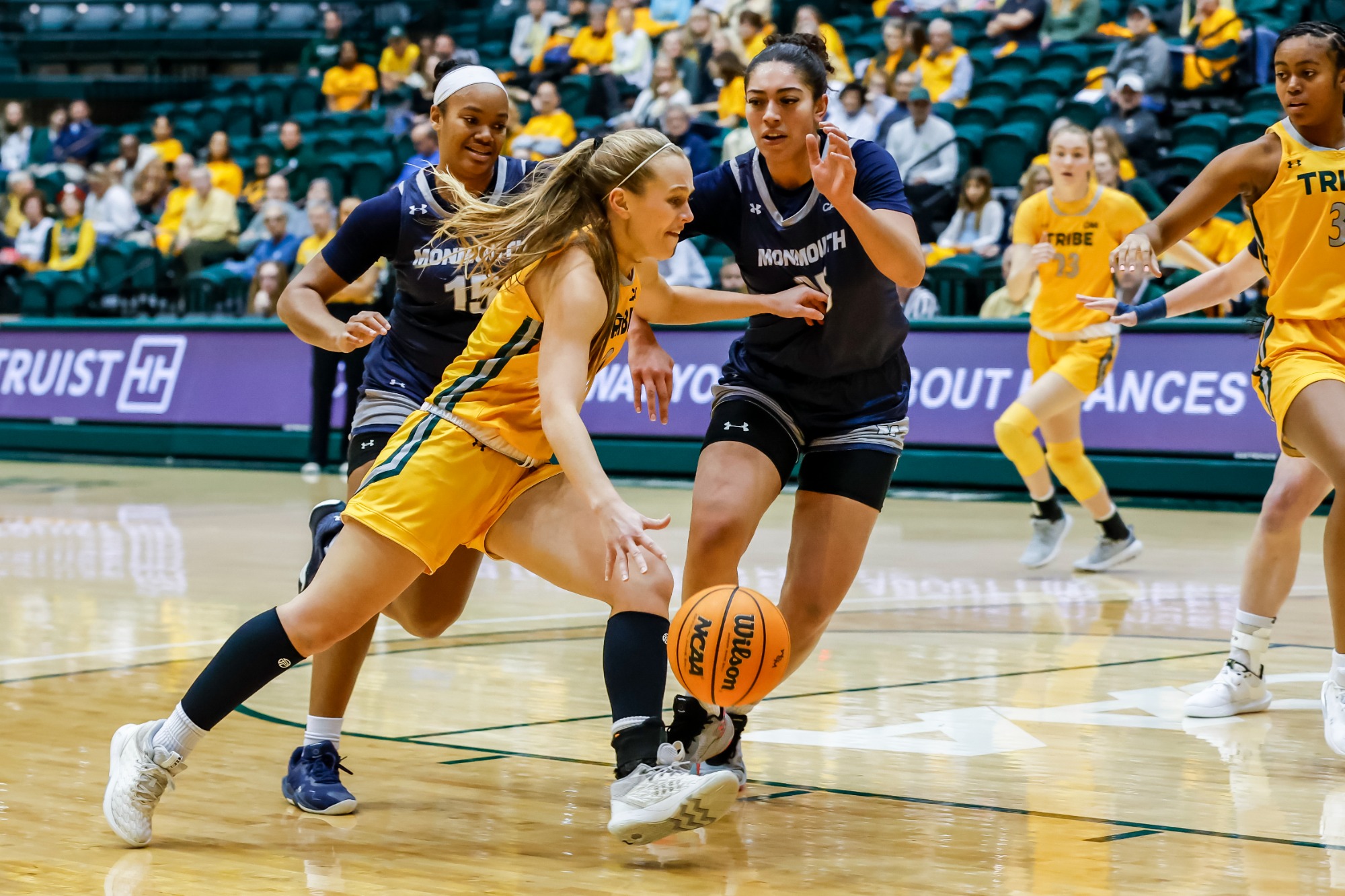 Casey Named to VaSID First Team William & Mary Athletics