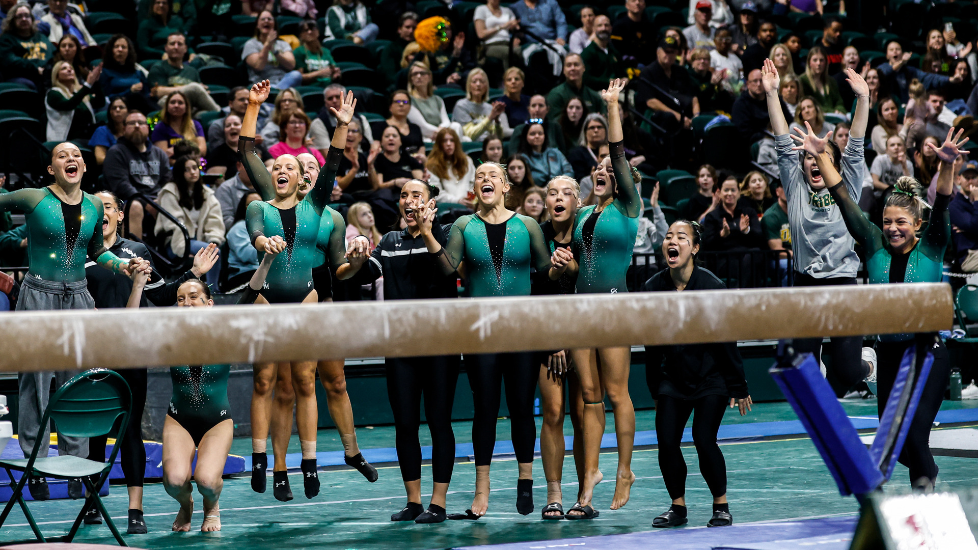 Member of the W&M women's gymnastics team celebrate during a meet at Kaplan Arena