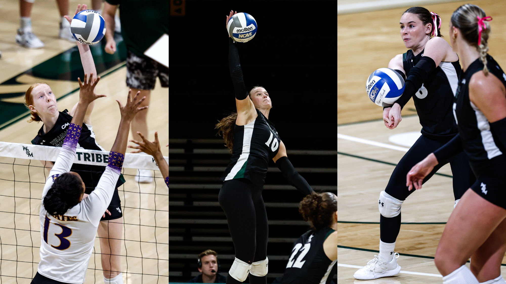 Volleyball CSC Academic All District