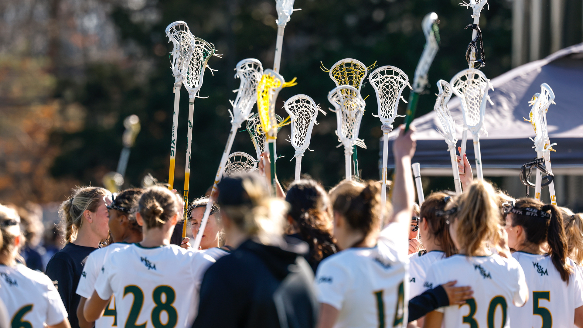 Members of the William & Mary lacrosse team huddle in a circle holding sticks in the air