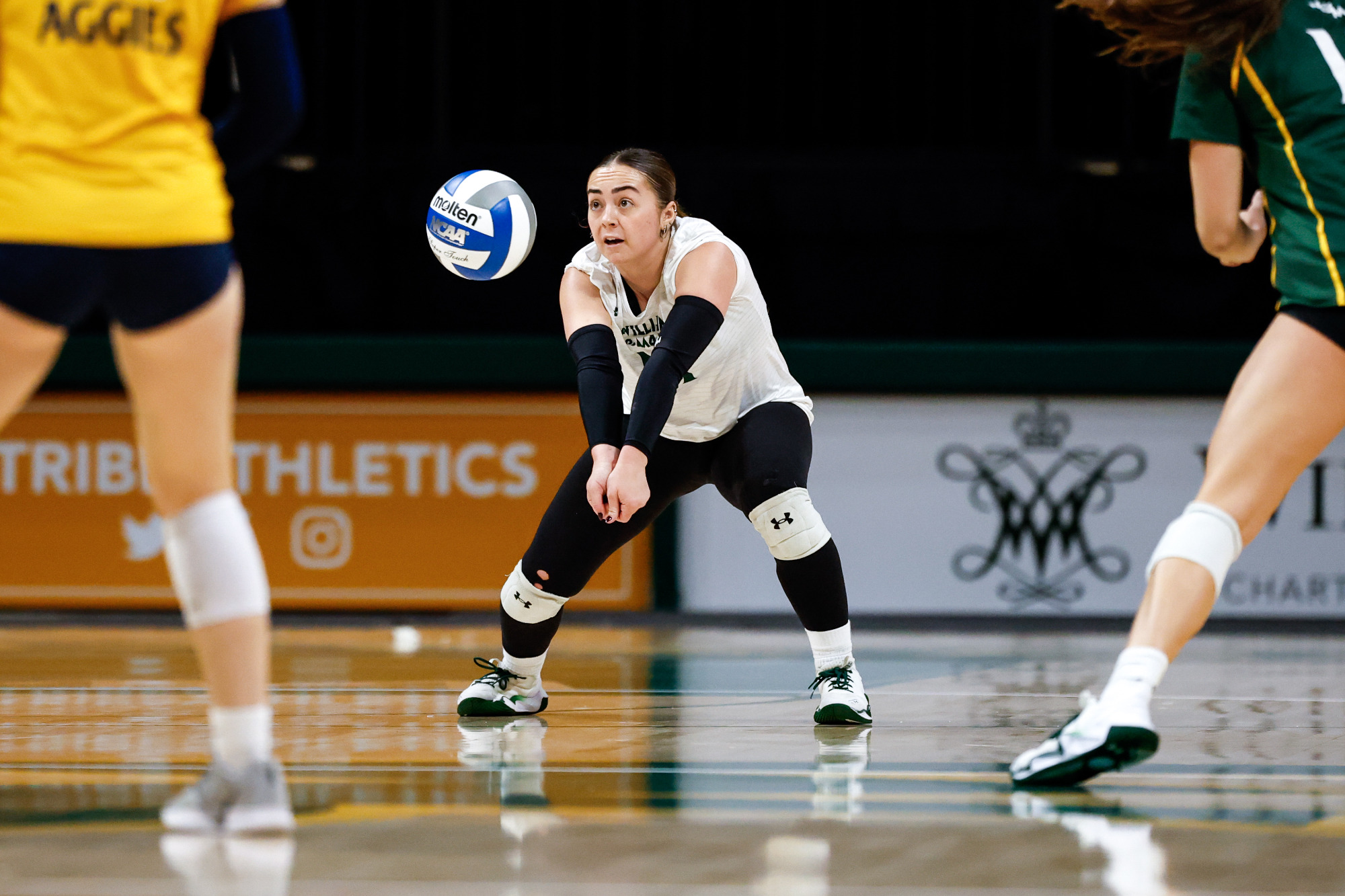 WILLIAMSBURG; Va. — William & Mary dropped Saturday's contest to North Carolina A&T 3-1 (22-25; 25-17; 20-25; 13-25) on Saturday afternoon at Kaplan Arena.