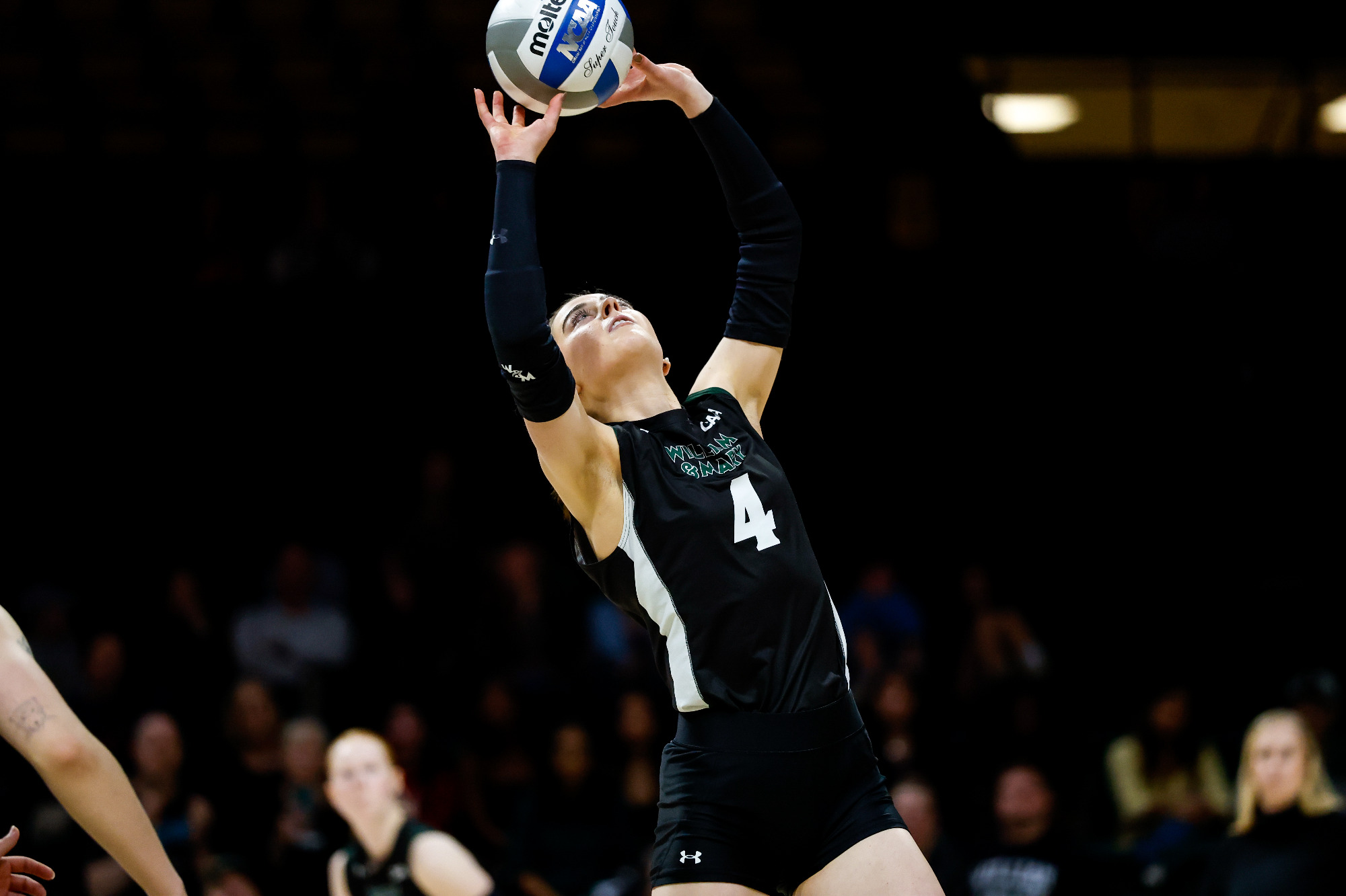 WILLIAMSBURG, Va. — William & Mary took second-place Hofstra to four sets before falling on Thursday night at Kaplan Arena.