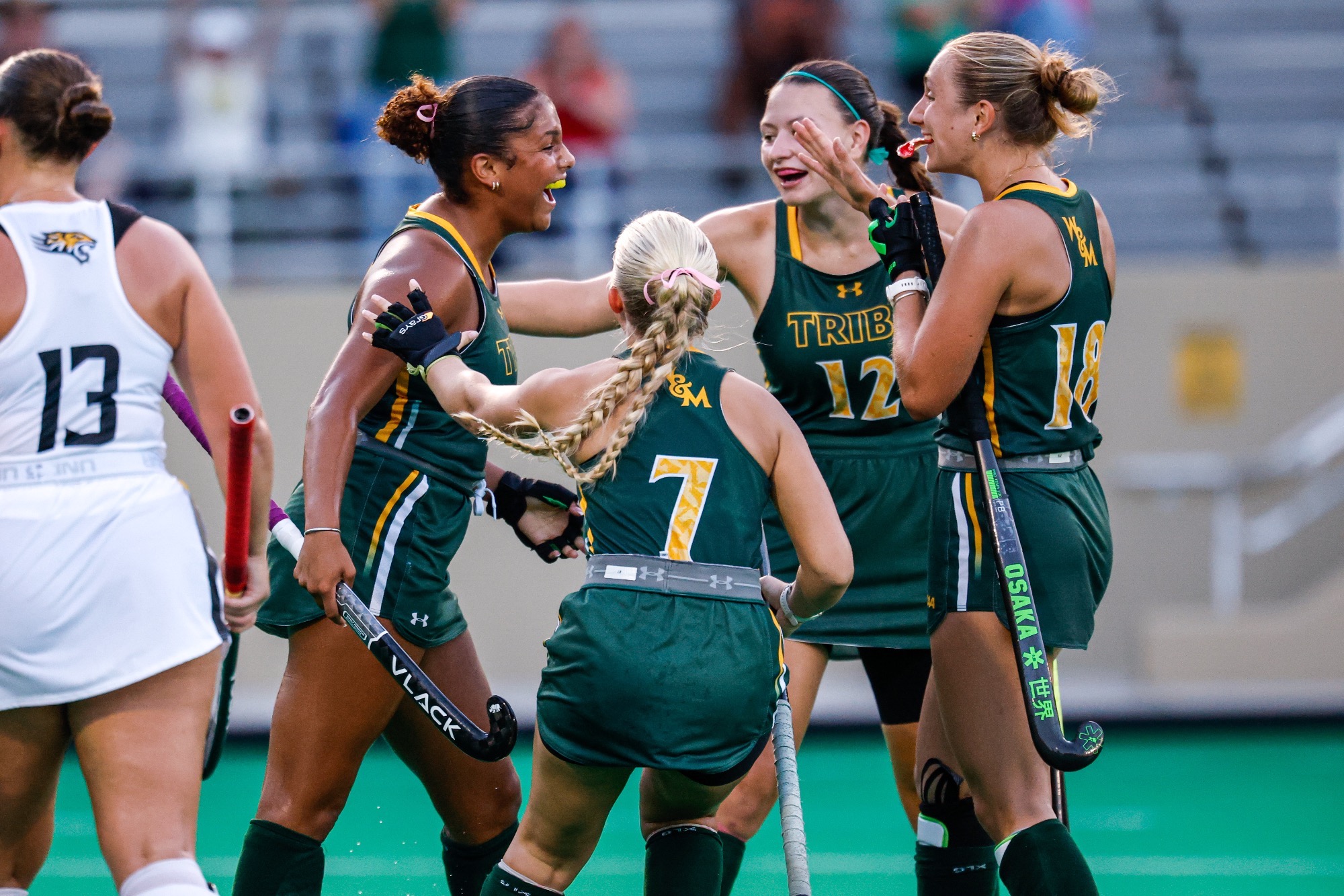 FH Win