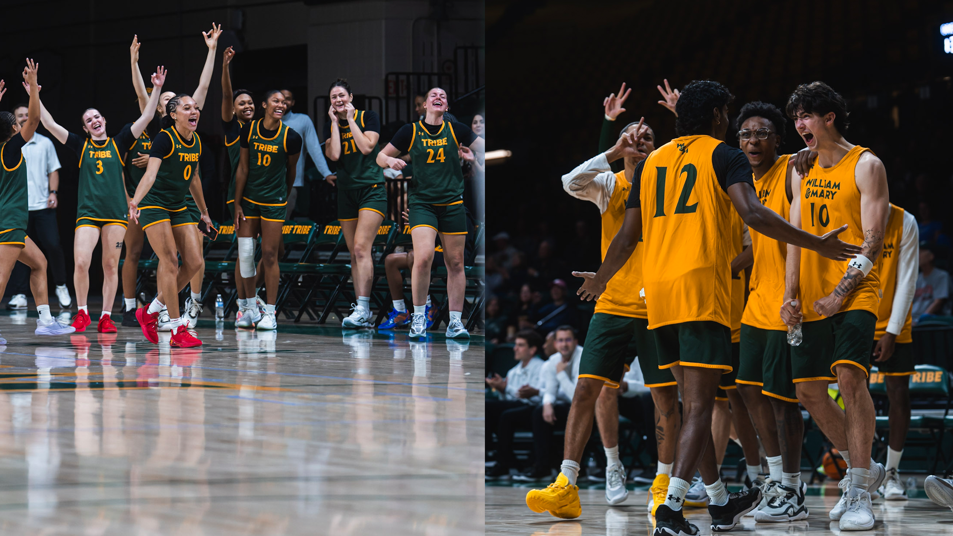 Tribe Madness