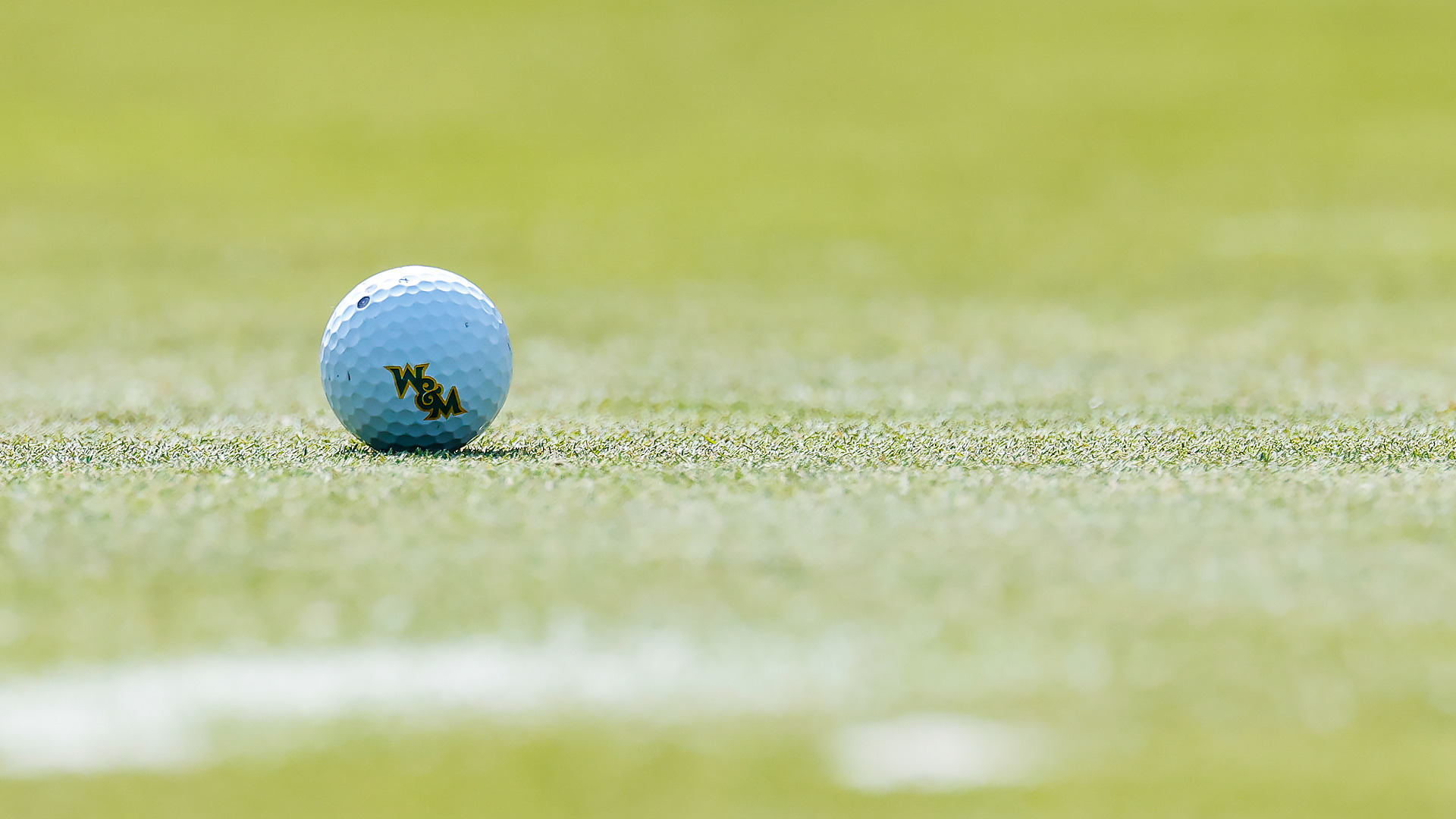 Golf ball with a W&M logo on a putting green