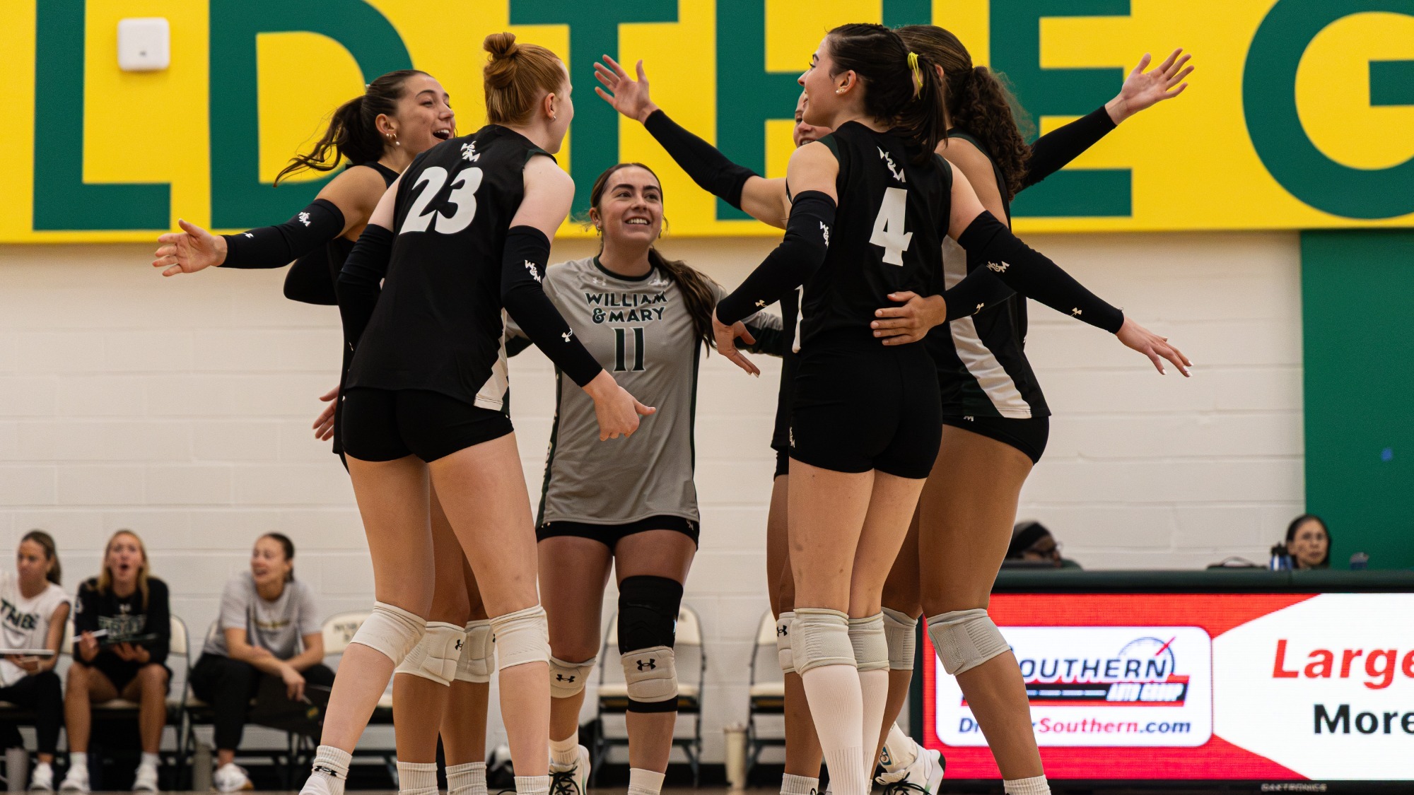 Volleyball celebration