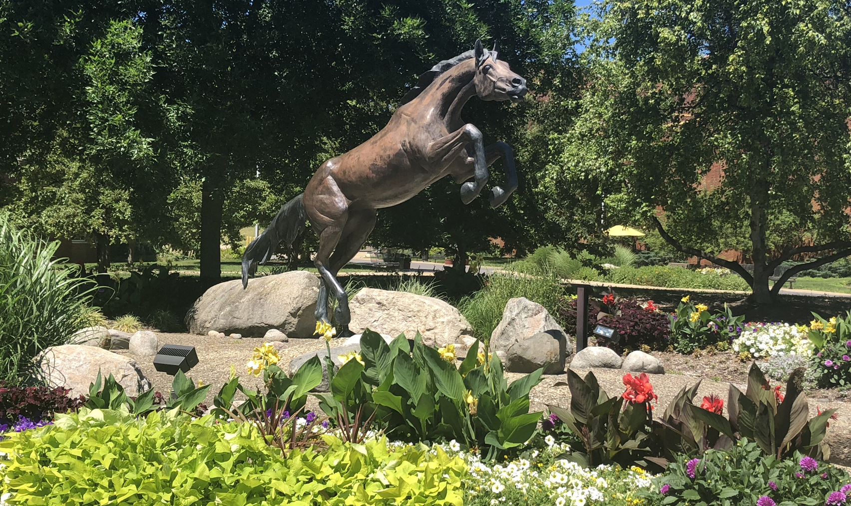 Bronco Statue
