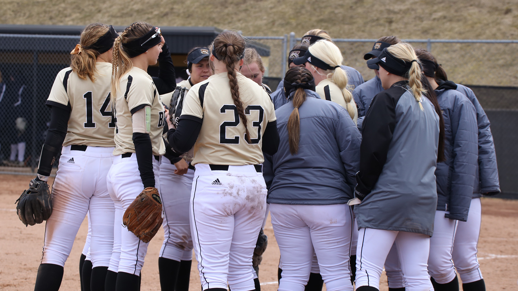 WMU Softball Releases Fall Schedule Western Michigan University Athletics
