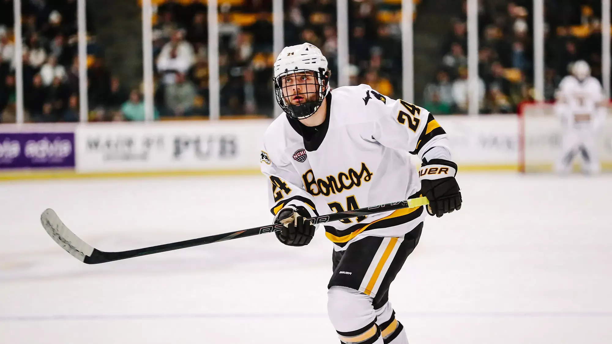 Hockey vs. Notre Dame