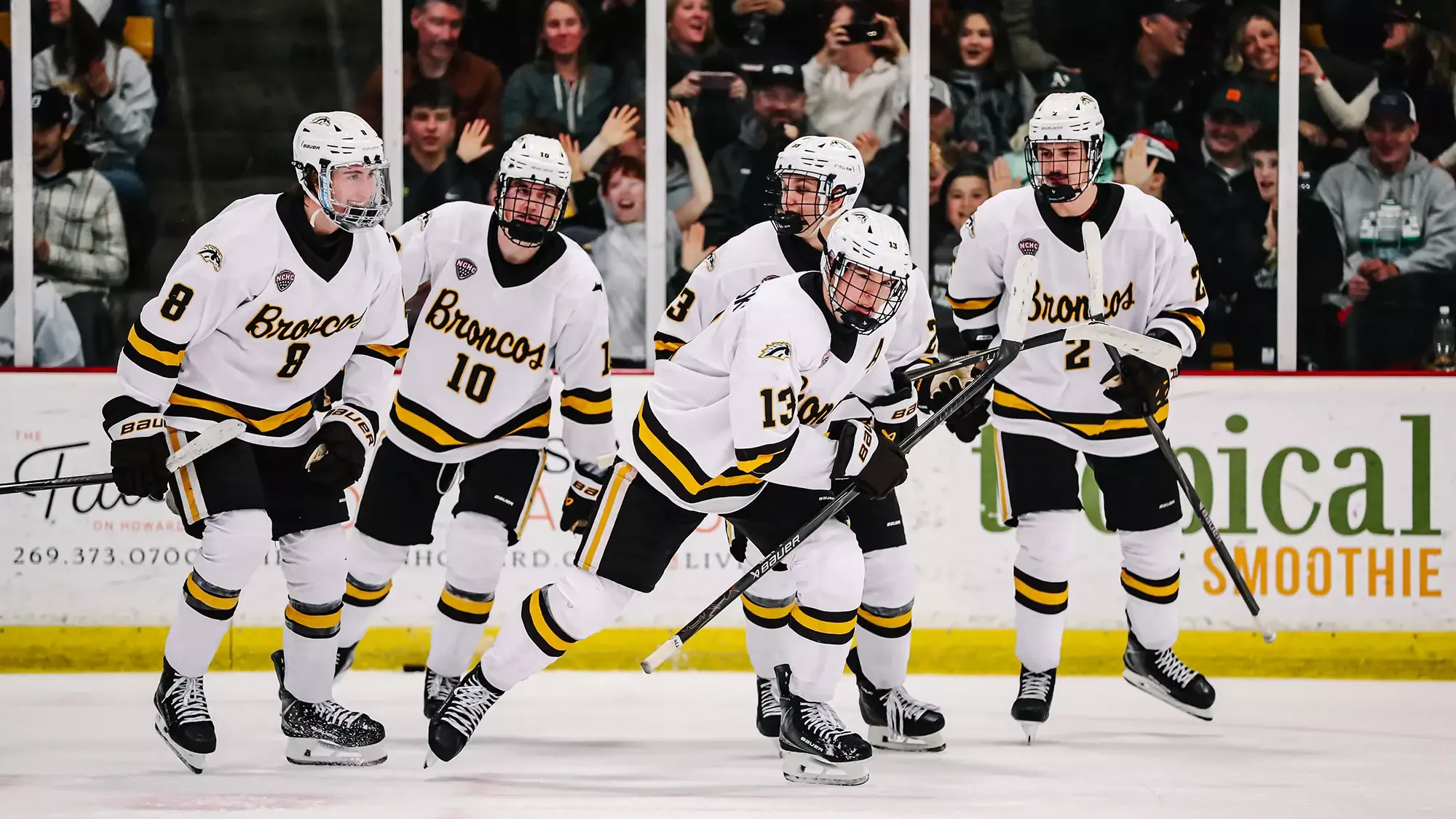 Hockey vs. Notre Dame