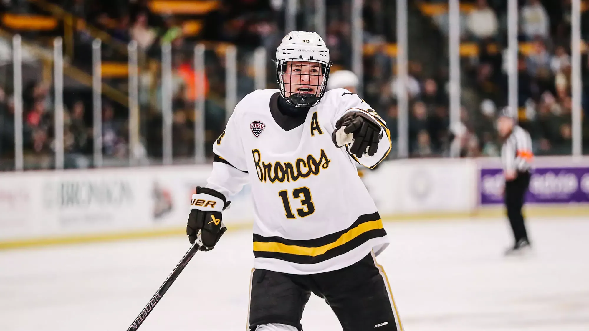 Hockey vs Arizona State