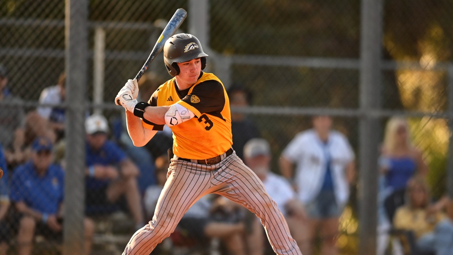Drew Howard takes a swing during WMU's Opening Weekend series against Pitt