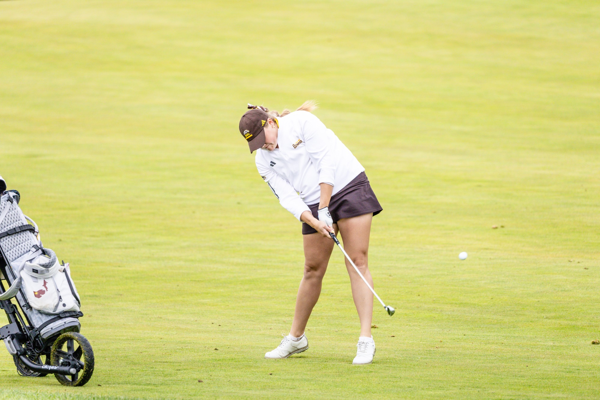 A Western Michigan golfer takes a chip shot just off a green at the Firestone Country Club Fazio Course