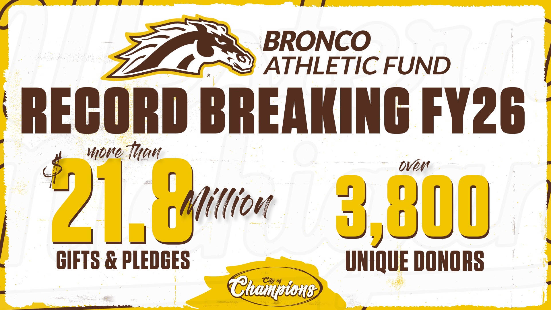 Fundraising Graphic