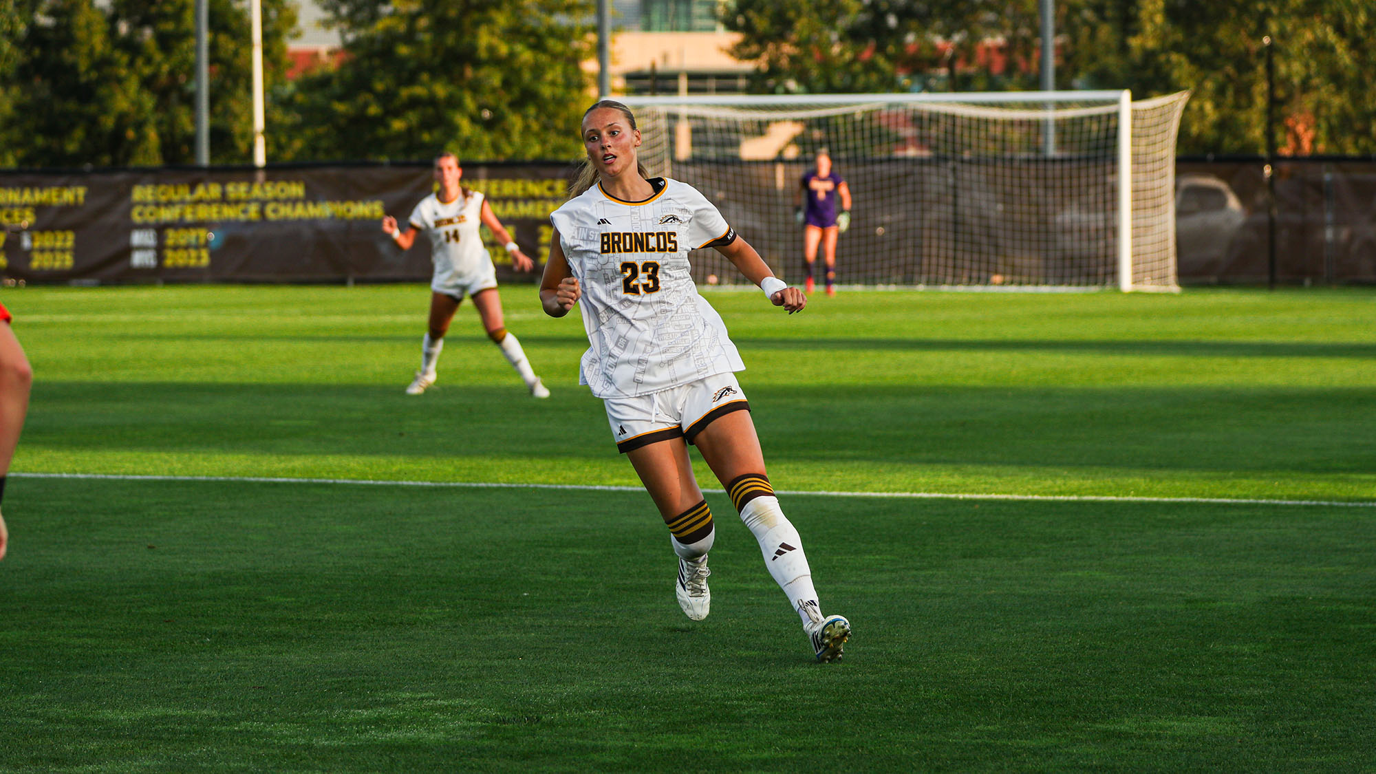 WMU vs Illinois