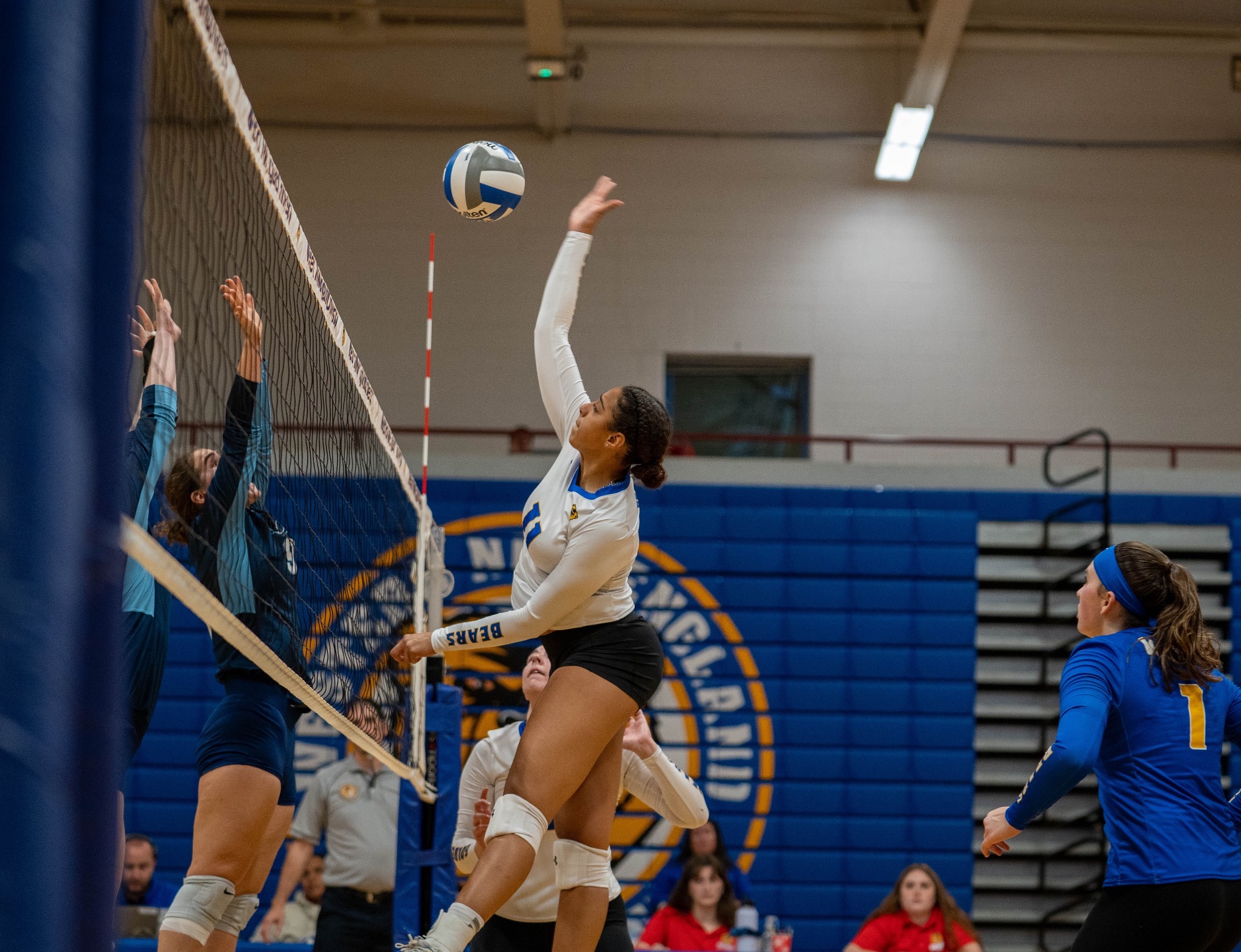 Molina, Hawes Lead WNE Women’s Volleyball Past Curry Western New