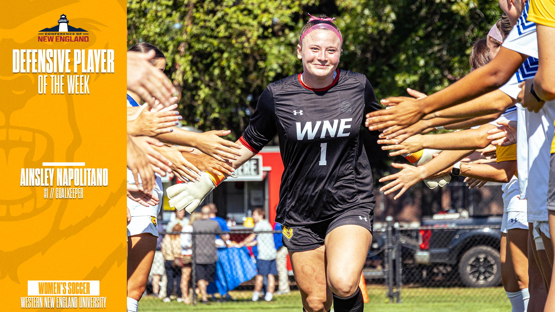 CNE DPOTW - Napolitano 11.4.25