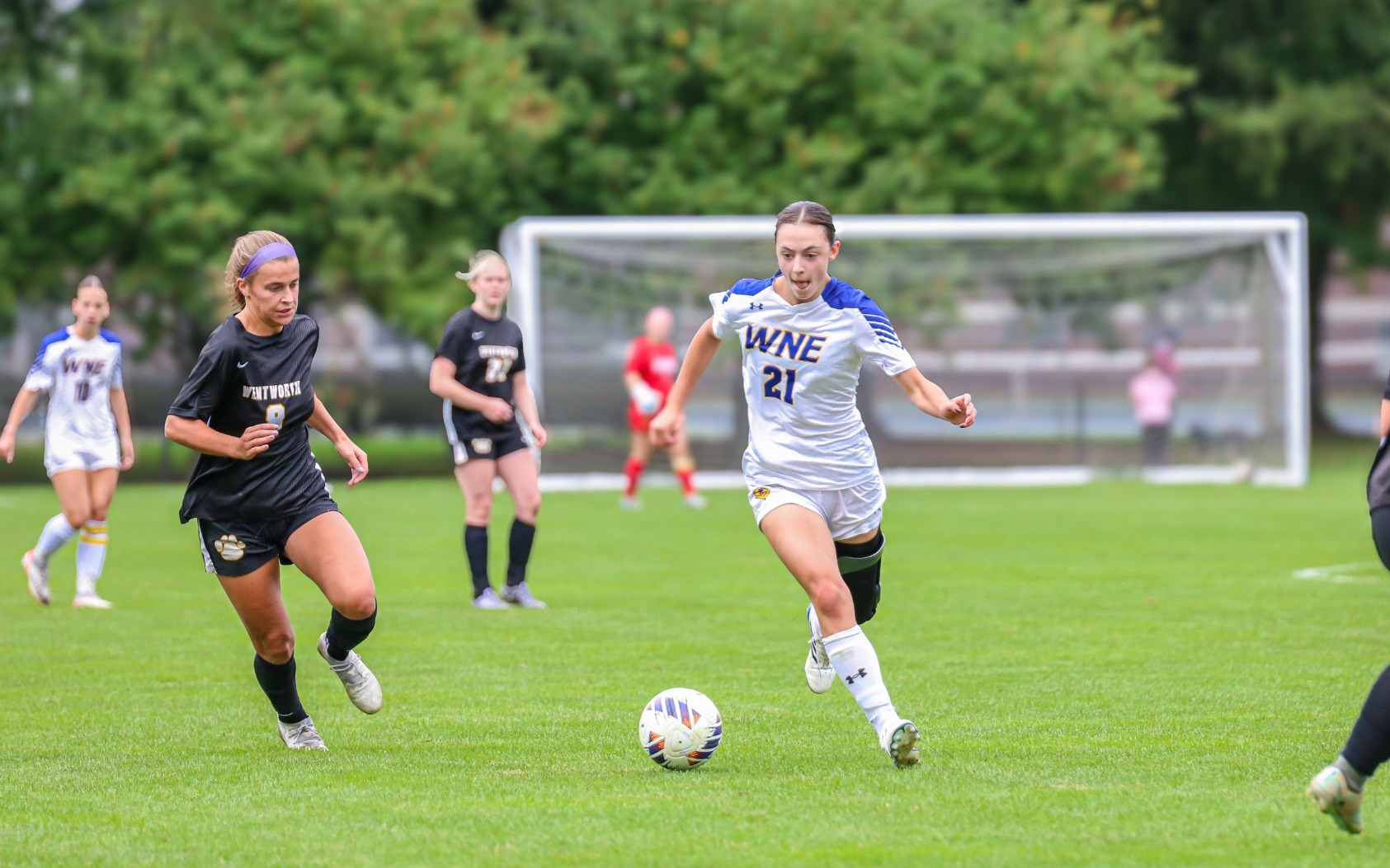 WSOC 10.10