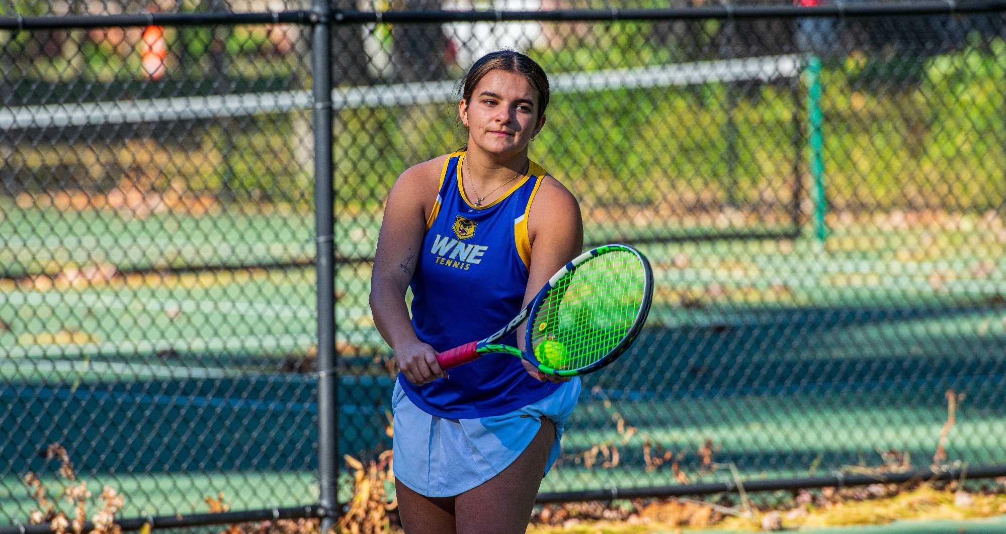 WTEN 10.8.26