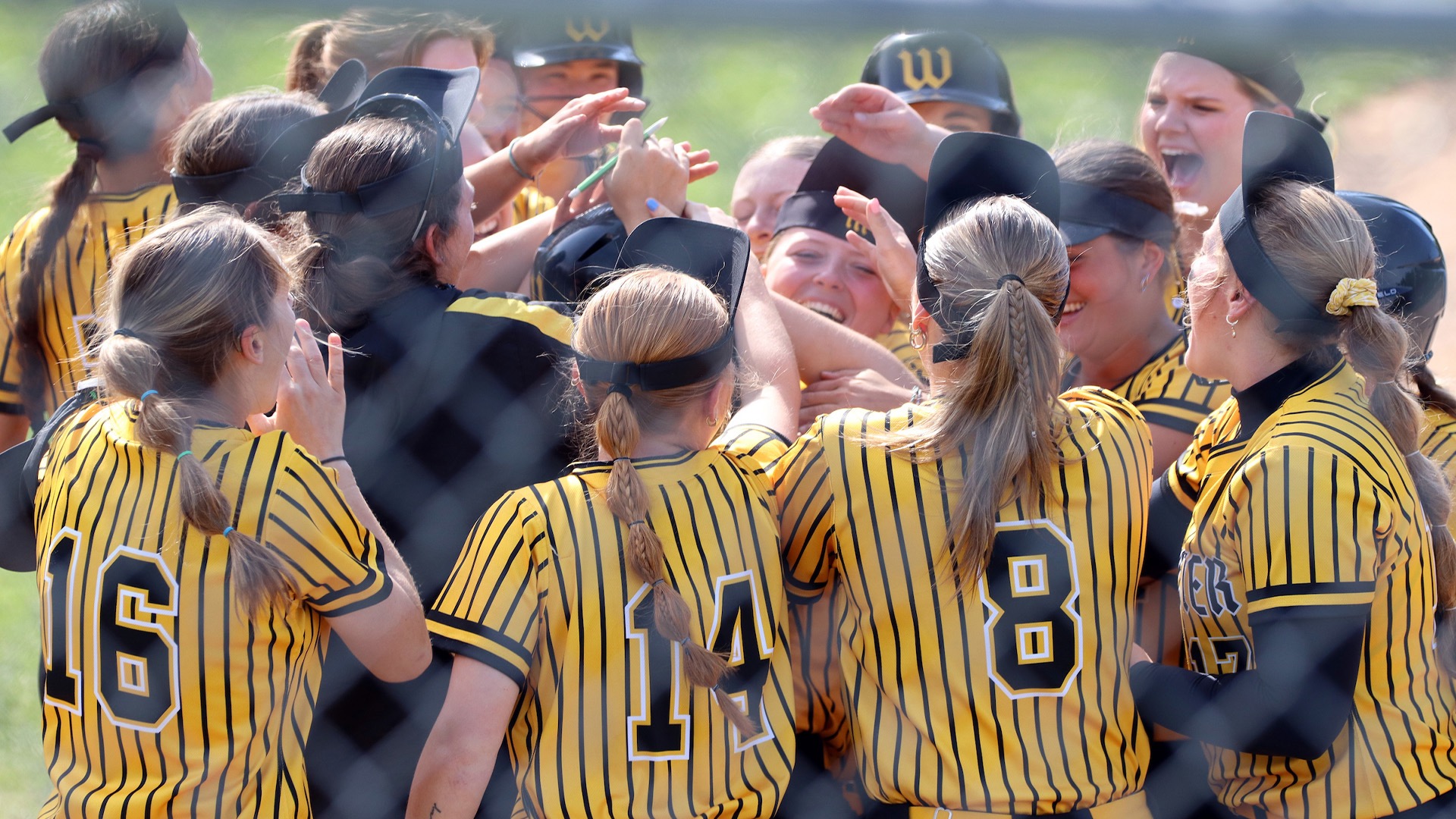 The softball celebrates in a huddle at home plate