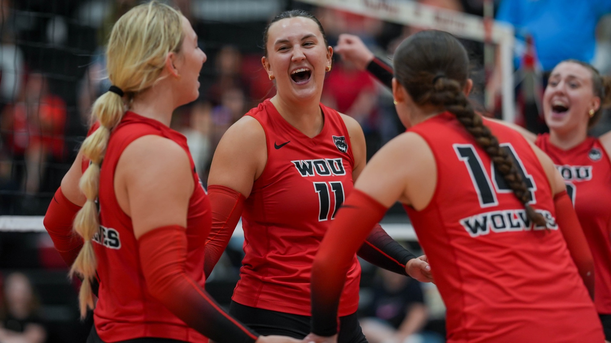 volleyball