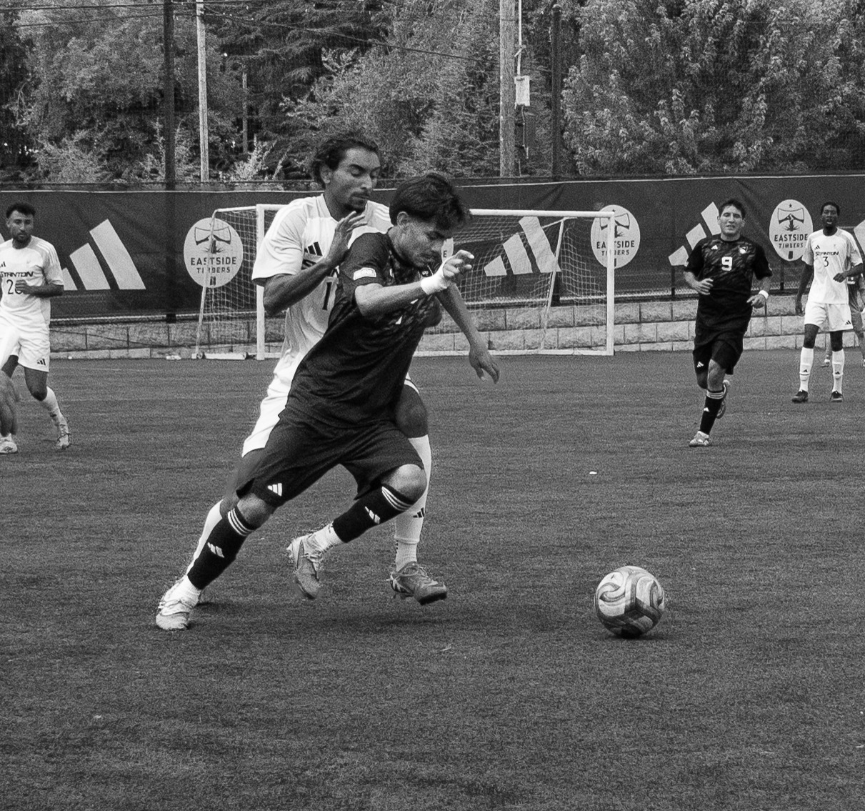 MSOC vs Stanton