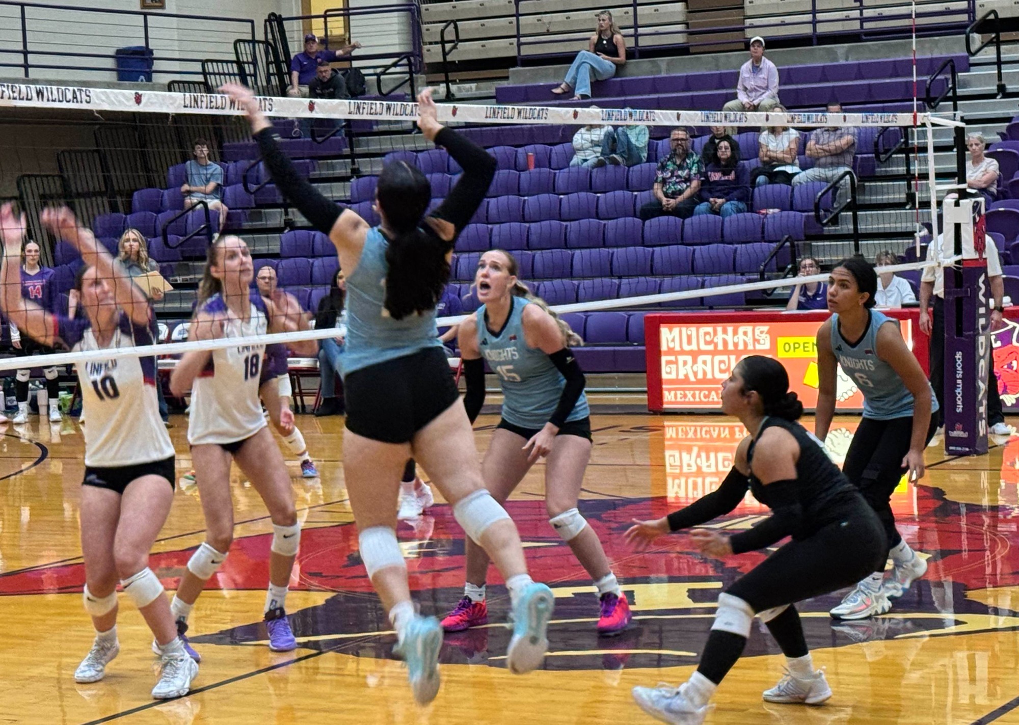 VB @ Linfield