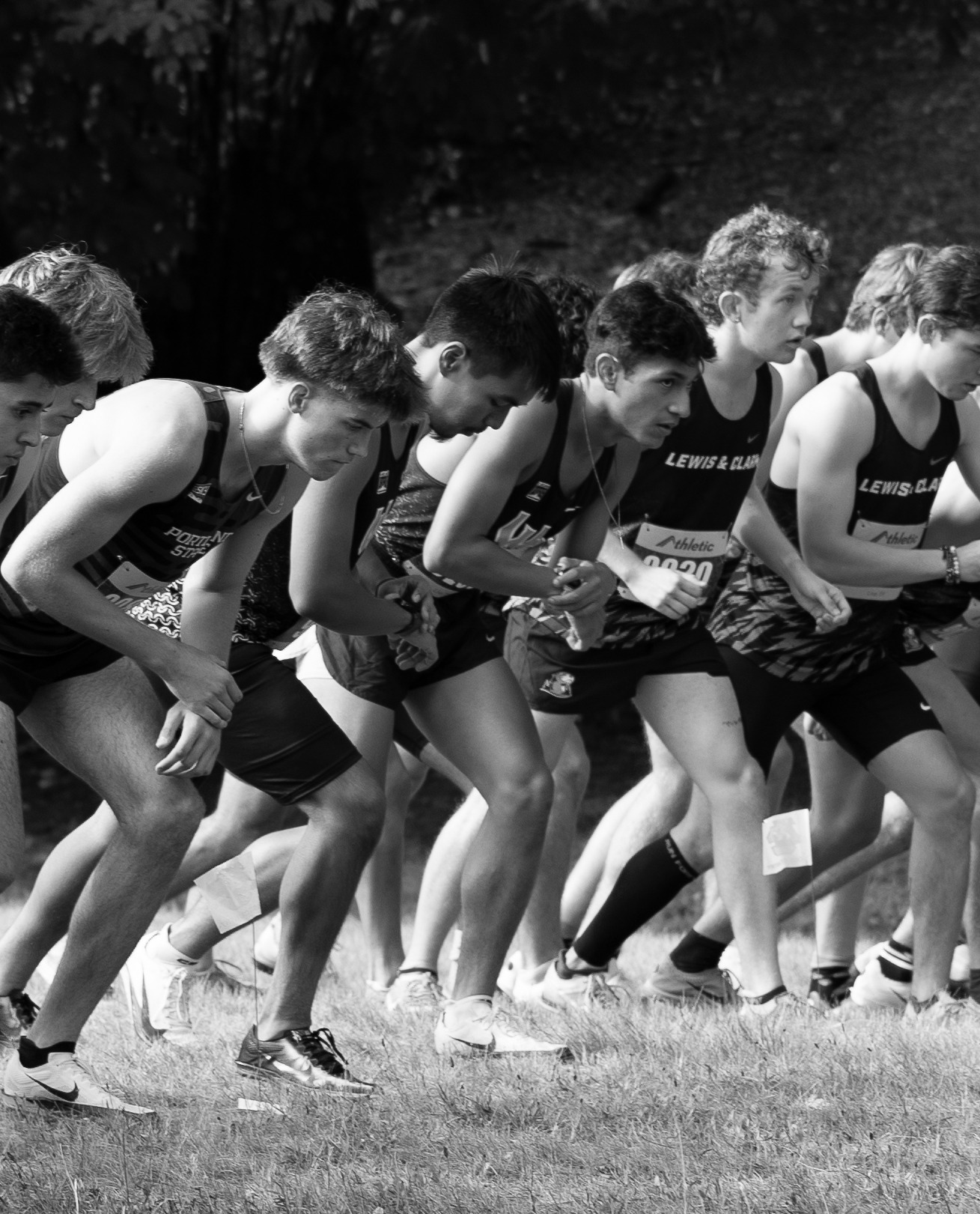 XC @ LC