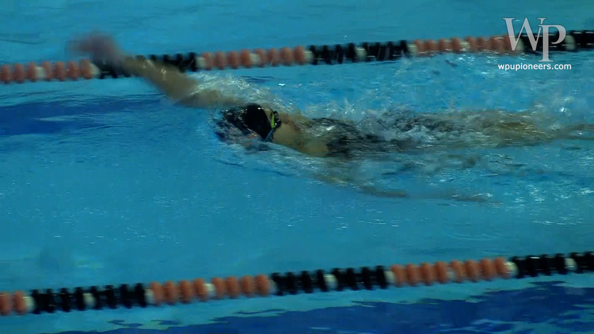 Women's Swimming and Diving vs. FDU-Florham Thumbnail