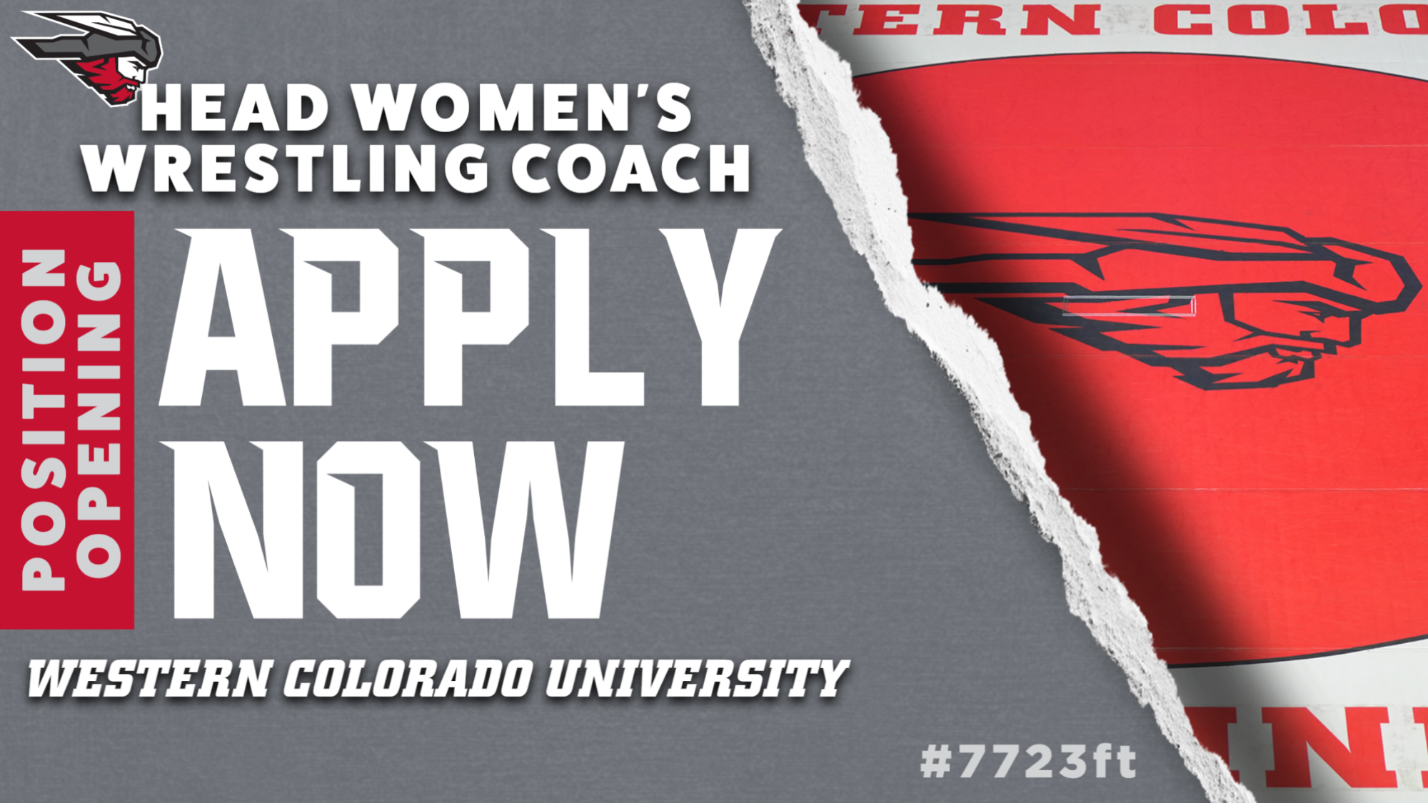 WWR-HC-job-advertisement-250603