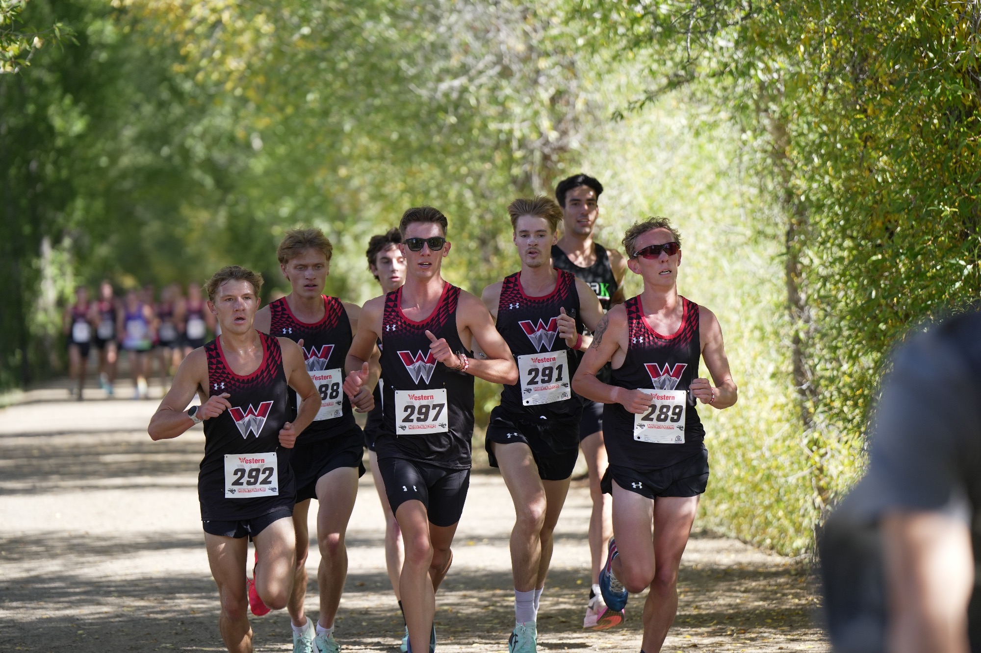XC-atColo.MesaXC-261024
