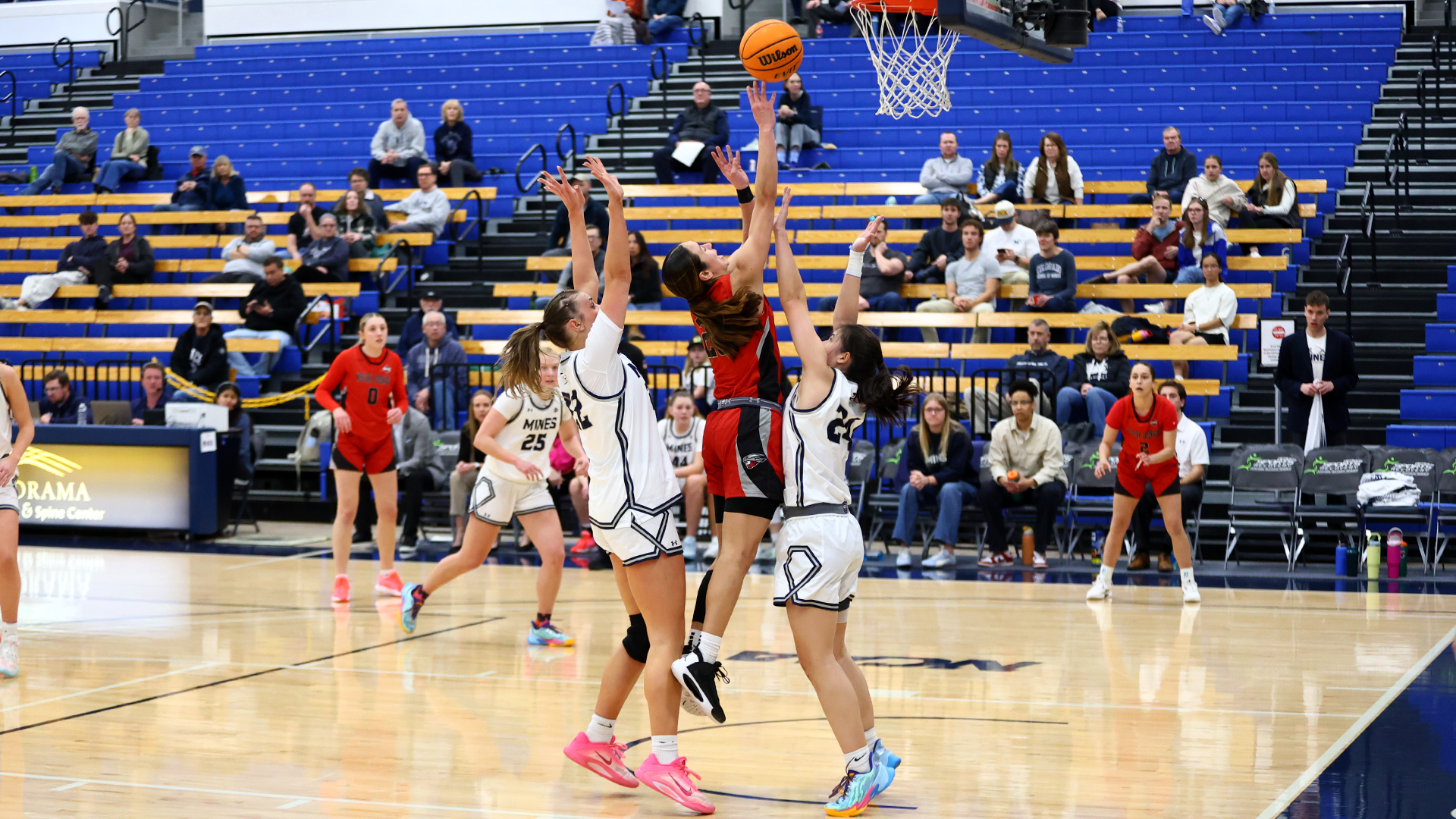 WBBatCSM-260205-Schmidt