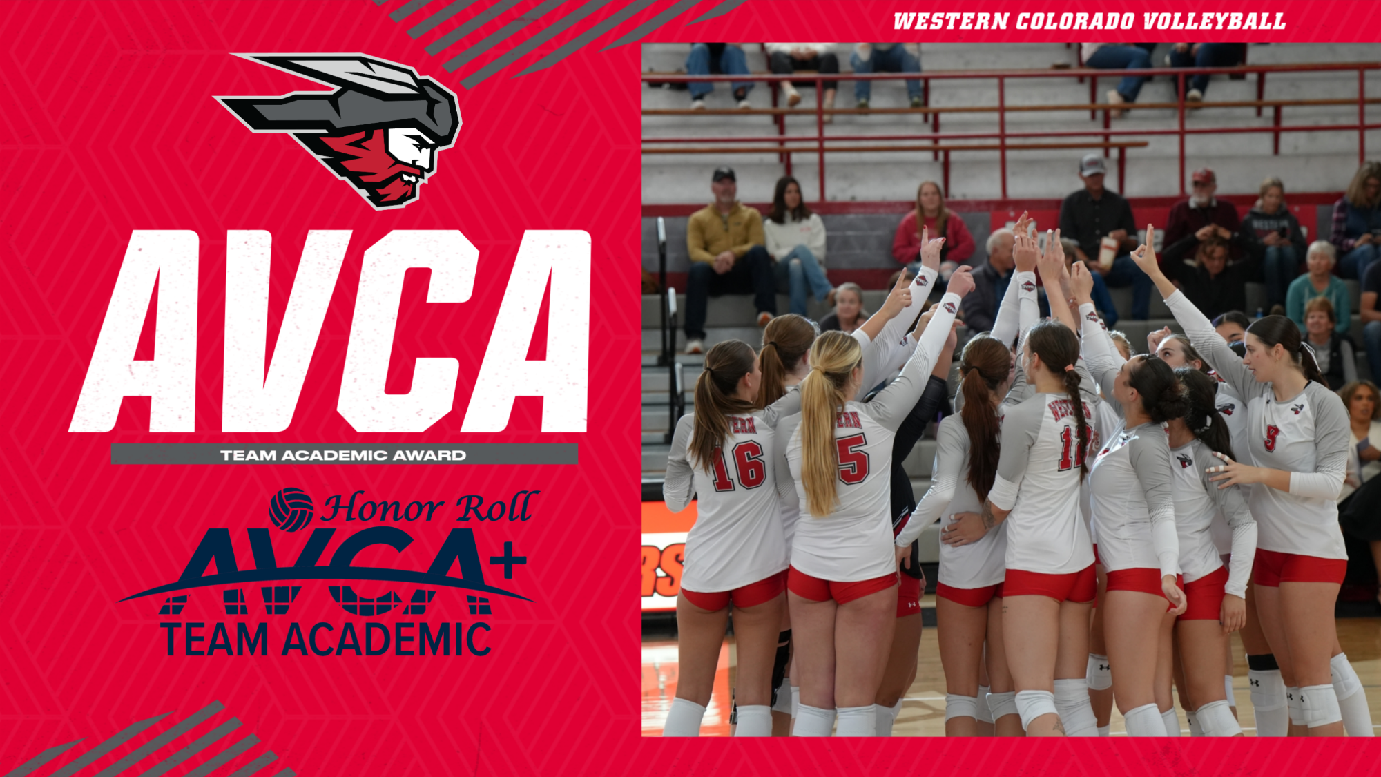 WVB-26723-AVCA Team Award-Web