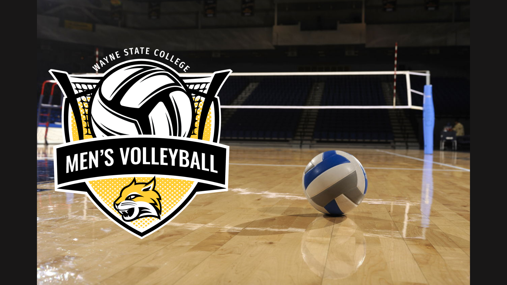 Article cover mens vb