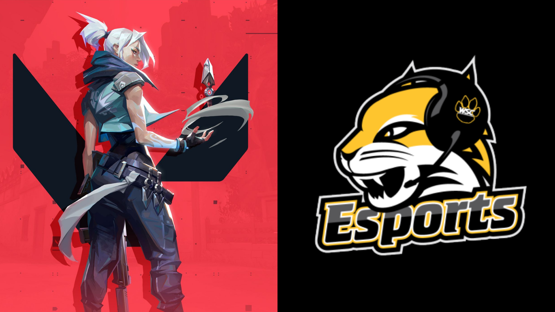 Valorant Banner 