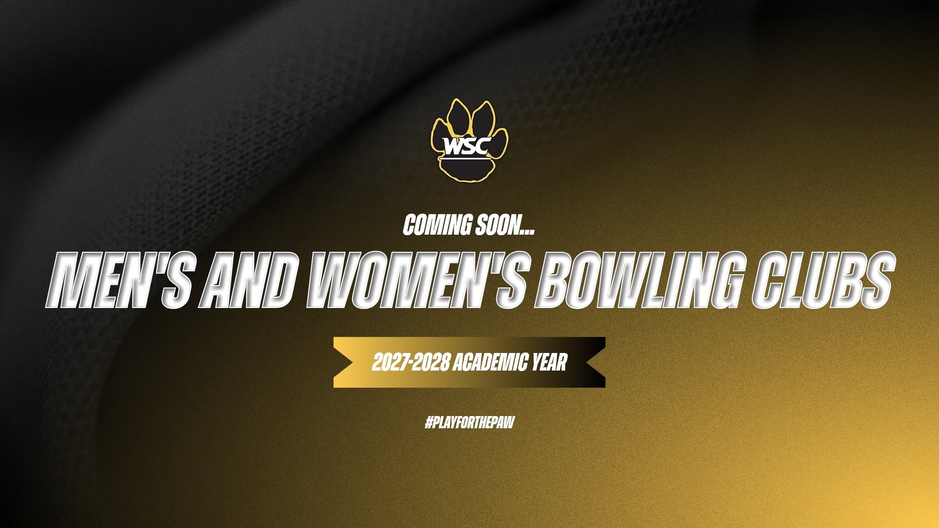 MENS AND WOMENS BOWLING