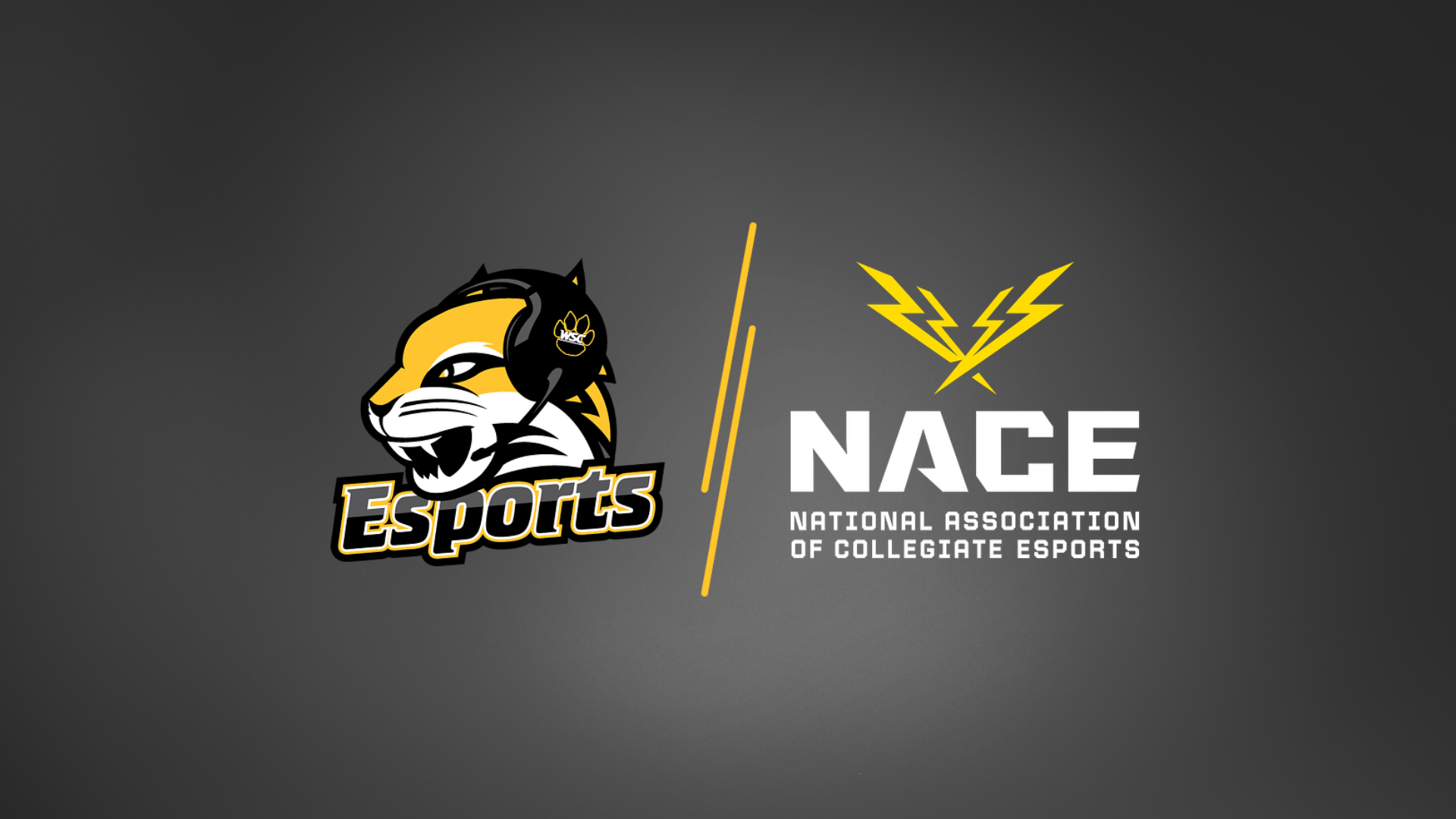 NACE x WSC Esports