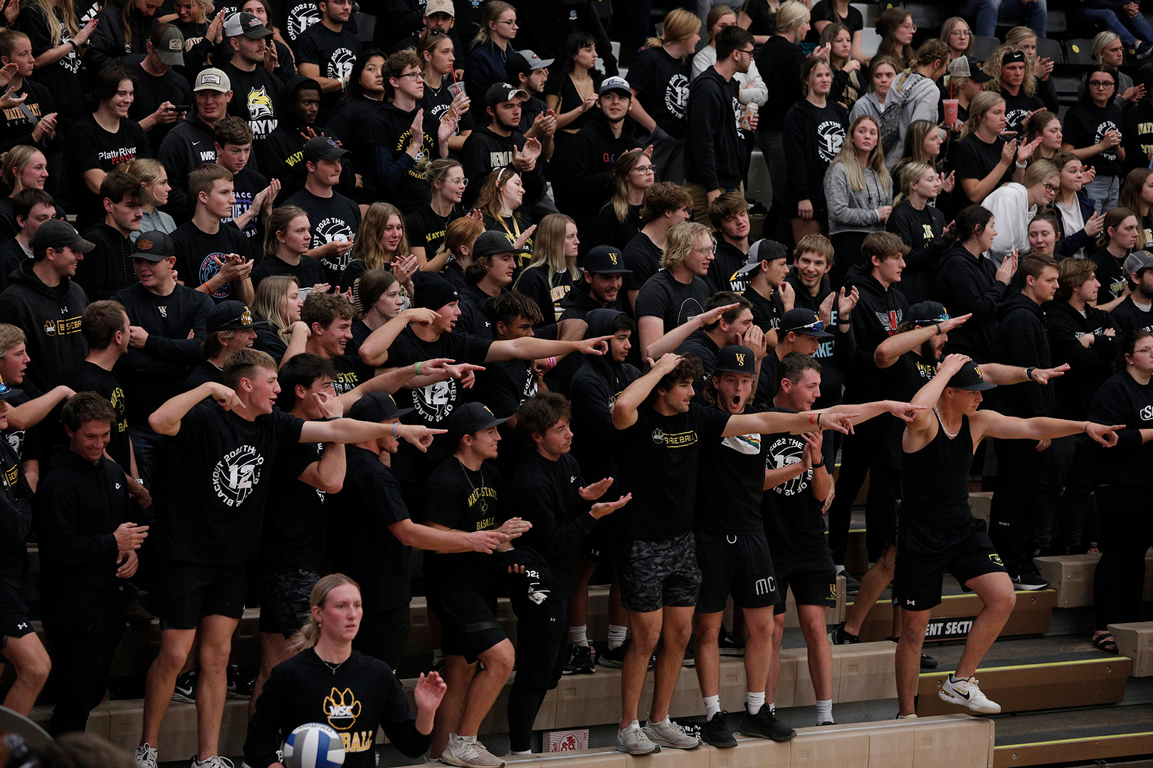 black out night web