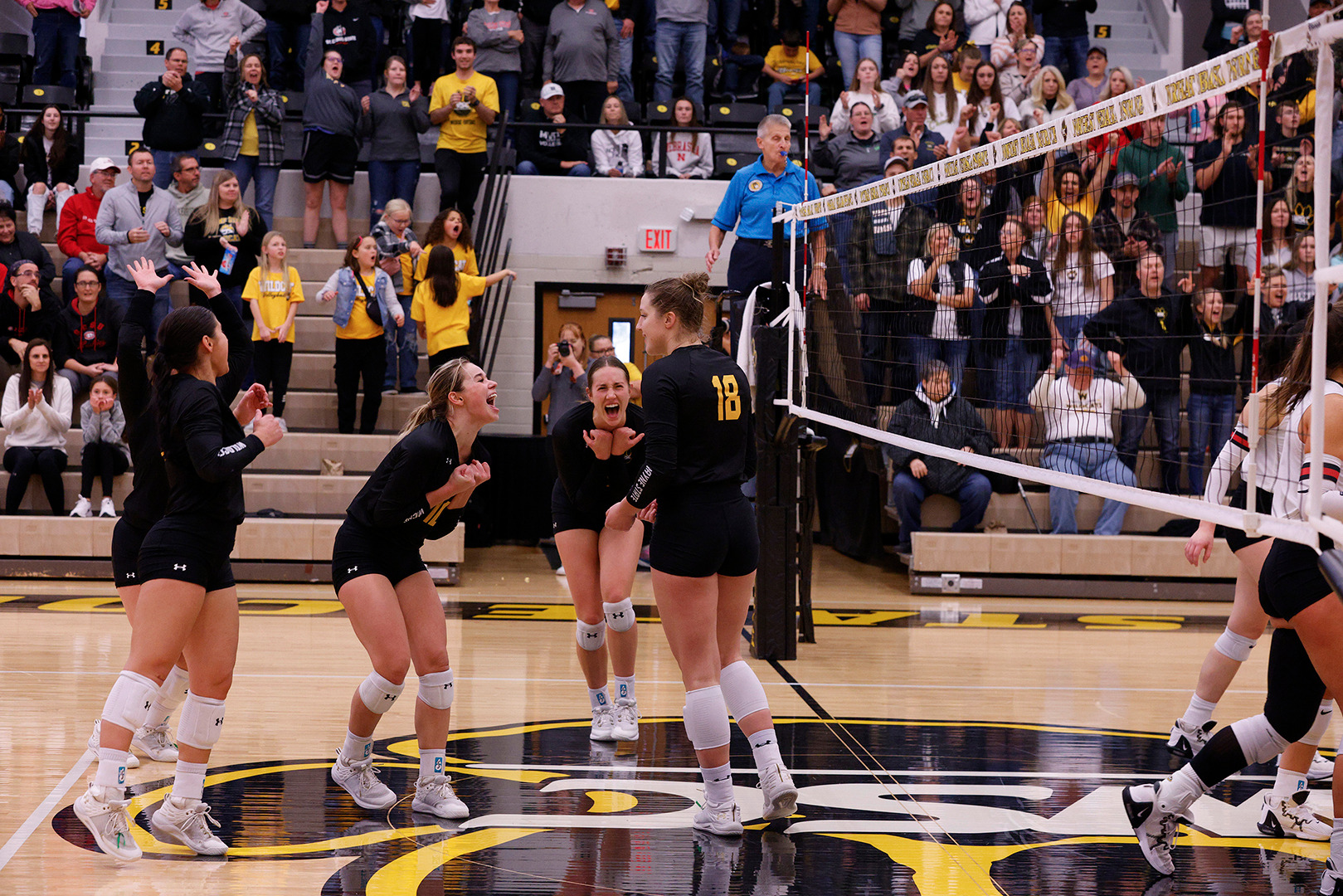 Ally Beresford 2023 Women's Volleyball Wayne State College Athletics