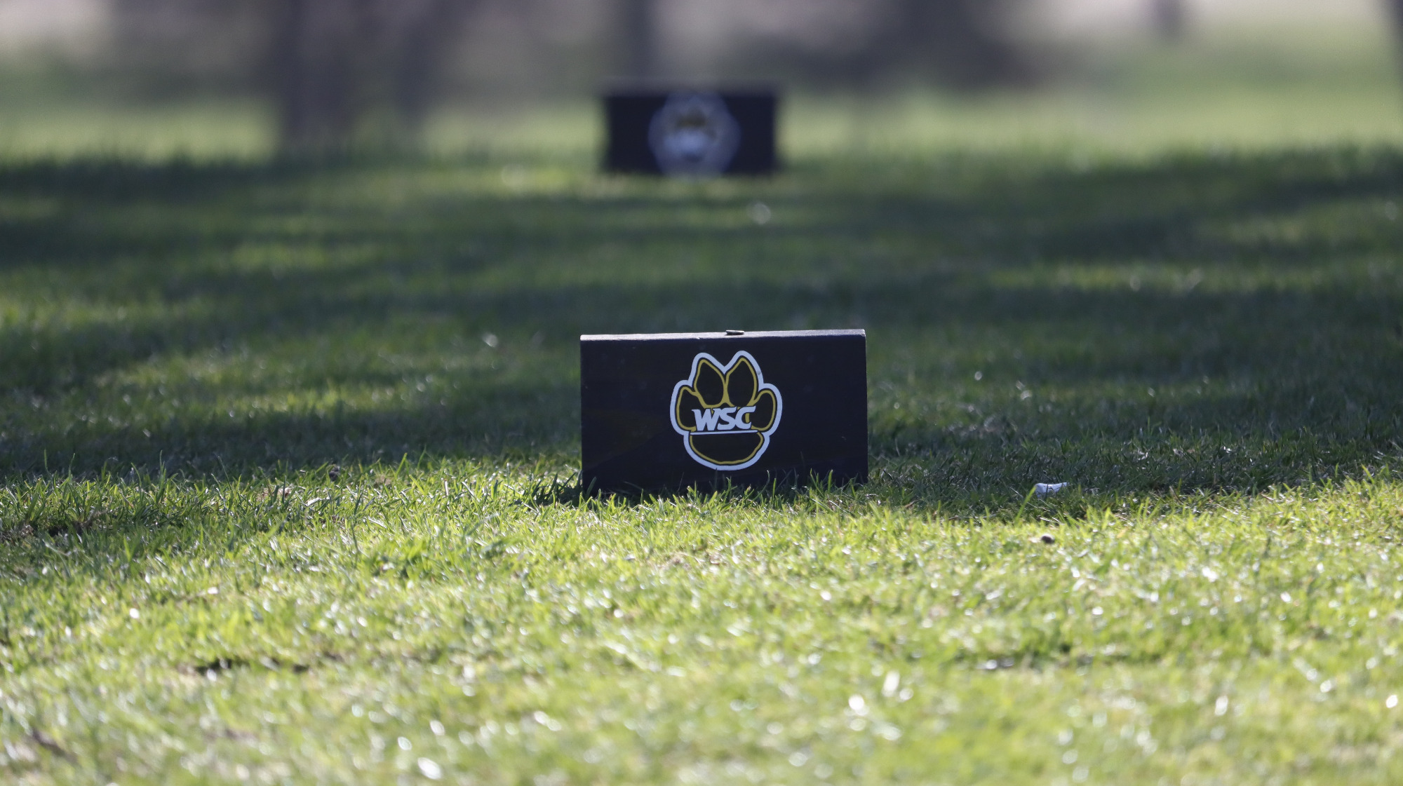 wscwgolf signings web