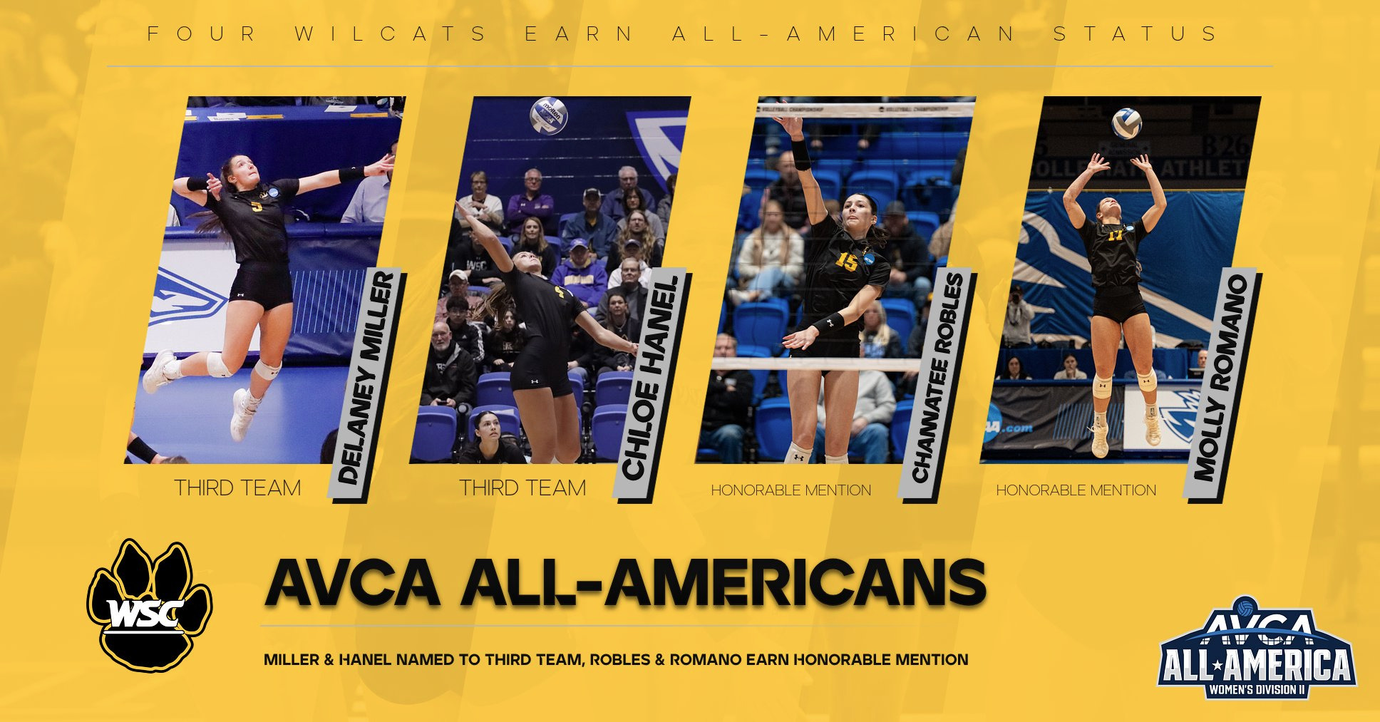 avca allamericans web