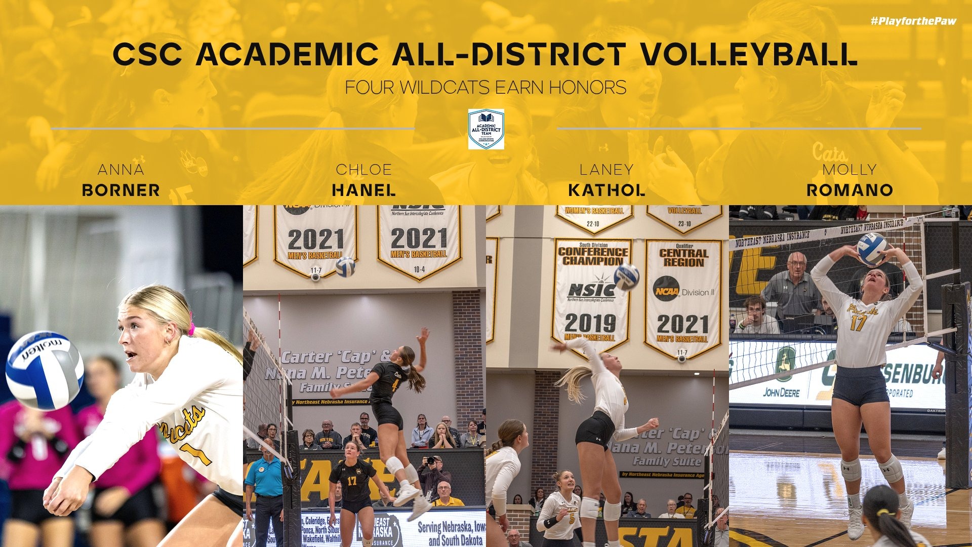 wsc vball academic all district 